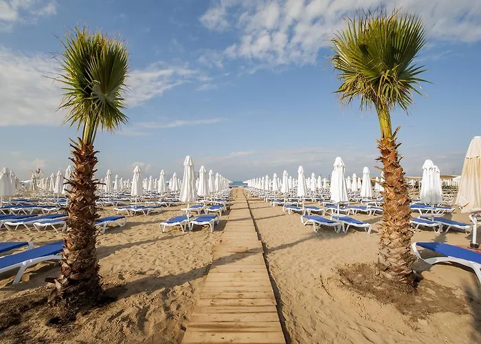 Dream World Aqua 锡德