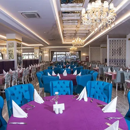 Dream World Aqua Side